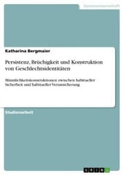 Cover von Persistenz, Brüchigkeit und Konstruktion von Geschlechtsidentitäten