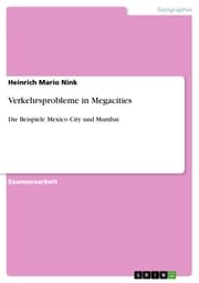 Cover von Verkehrsprobleme in Megacities