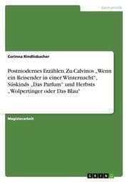 Cover von Postmodernes Erzählen. Zu Calvinos Wenn ein Reisender in einer Winternacht, Süskinds Das Parfum und Herbsts Wolpertinger oder Das Blau'