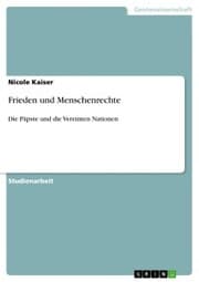 Cover von Frieden und Menschenrechte