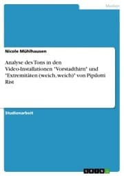 Cover von Analyse des Tons in den Video-Installationen 'Vorstadthirn' und 'Extremitäten (weich, weich)' von Pipilotti Rist