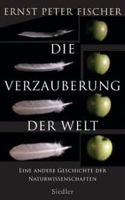 Cover von Die Verzauberung der Welt