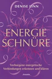 Cover von Energieschnüre