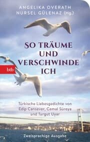 Cover von 'So träume und verschwinde ich'