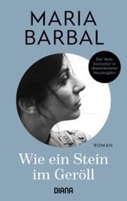 Cover von Wie ein Stein im Geröll