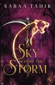 Cover von A Sky Beyond the Storm