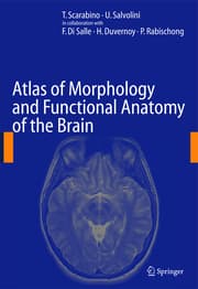 Cover von Atlas of Morphology and Functional Anatomy of the Brain