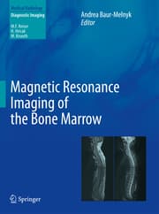 Cover von Magnetic Resonance Imaging of the Bone Marrow