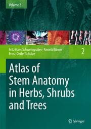 Cover von Atlas of Stem Anatomy in Herbs, Shrubs and Trees 2