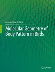 Cover von Molecular Geometry of Body Pattern in Birds