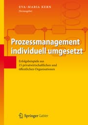 Cover von Prozessmanagement individuell umgesetzt