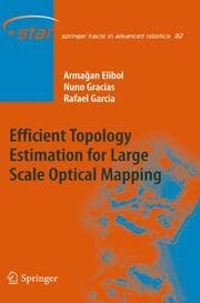 Cover von Efficient Topology Estimation for Large Scale Optical Mapping