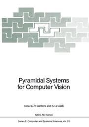 Cover von Pyramidal Systems for Computer Vision