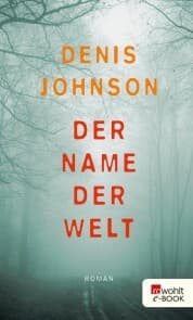 Cover von Der Name der Welt