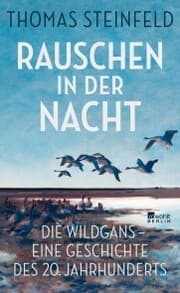 Cover von Rauschen in der Nacht