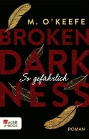 Cover von Broken Darkness: So gefährlich