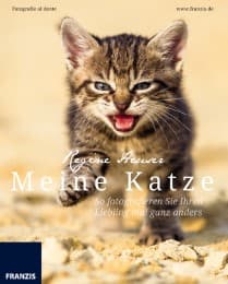 Cover von Meine Katze - So fotografieren Sie Ihren Liebling mal ganz anders
