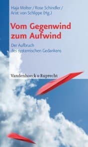 Cover von Vom Gegenwind zum Aufwind