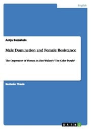 Cover von Male Domination and Female Resistance