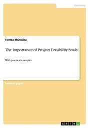 Cover von The Importance of Project Feasibility Study