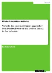 Cover von Vorteile des Durchsetzfügens gegenüber dem Punktschweißen und dessen Einsatz in der Industrie