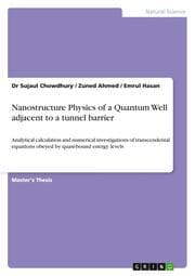 Cover von Nanostructure Physics of a Quantum Well adjacent to a tunnel barrier