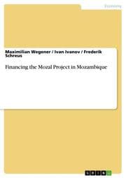 Cover von Financing the Mozal Project in Mozambique