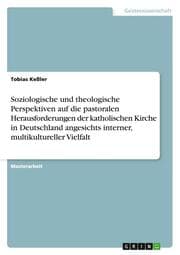 Cover von Soziologische und theologische Perspektiven auf die pastoralen Herausforderungen der katholischen Kirche in Deutschland angesichts interner, multikultureller Vielfalt