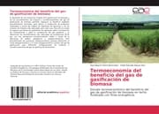 Cover von Termoeconomía del beneficio del gas de gasificación de biomasa