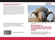 Cover von Morfología e inmunidad del aparato reproductor del macho ovino