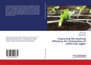Cover von Improving the leaching efficiency for reclamation of saline clay aggre