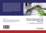 Cover von Somatic embryogenesis and plantlet regeneration from Shea tree