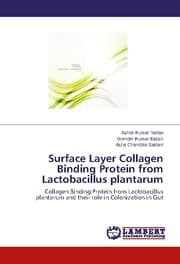 Cover von Surface Layer Collagen Binding Protein from Lactobacillus plantarum