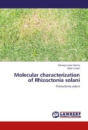 Cover von Molecular characterization of Rhizoctonia solani