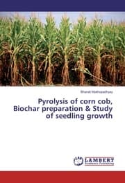 Cover von Pyrolysis of corn cob, Biochar preparation & Study of seedling growth