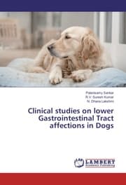 Cover von Clinical studies on lower Gastrointestinal Tract affections in Dogs