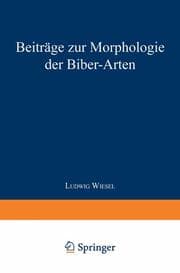 Cover von Beiträge zur Morphologie der Biber-Arten