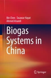 Cover von Biogas Systems in China
