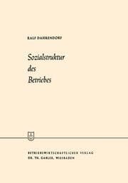 Cover von Sozialstruktur des Betriebes
