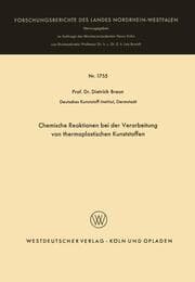 Cover von Chemische Reaktionen bei der Verarbeitung von thermoplastischen Kunststoffen