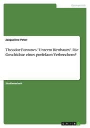 Cover von Theodor Fontanes 'Unterm Birnbaum'. Die Geschichte eines perfekten Verbrechens?