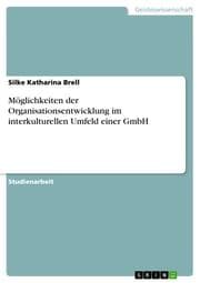 Cover von Möglichkeiten der Organisationsentwicklung im interkulturellen Umfeld einer GmbH