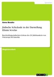 Cover von Jüdische Schicksale in der Darstellung Efraim Sevelas