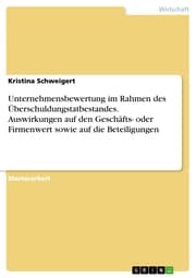 Cover von Unternehmensbewertung im Rahmen des Überschuldungstatbestandes. Auswirkungen auf den Geschäfts- oder Firmenwert sowie auf die Beteiligungen
