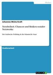 Cover von Netzfreiheit. Chancen und Risiken sozialer Netzwerke