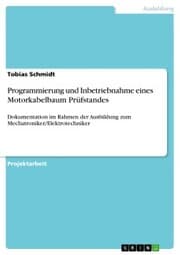 Cover von Programmierung und Inbetriebnahme eines Motorkabelbaum Prüfstandes