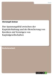 Cover von Das Spannungsfeld zwischen der Kapitalerhaltung und der Besicherung von Krediten mit Vermögen von Kapitalgesellschaften