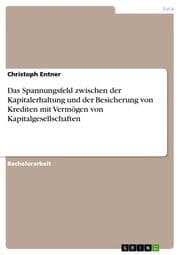 Cover von Das Spannungsfeld zwischen der Kapitalerhaltung und der Besicherung von Krediten mit Vermögen von Kapitalgesellschaften