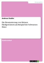 Cover von Die Renaturierung von kleinen Fließgewässern am Beispiel der Schwarzen Elster