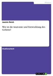 Cover von Wie ist die Anatomie und Entwicklung des Gehirns?